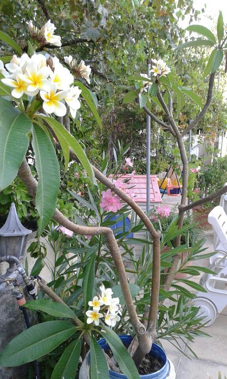 Polis Nicos & Olympia Apartments מראה חיצוני תמונה